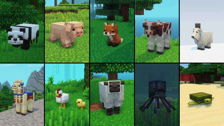Whimscape Texture Pack 1
